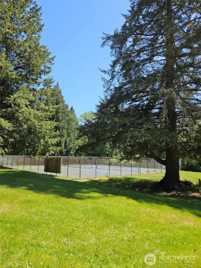 Tennis court