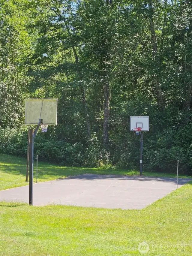Basketball cout