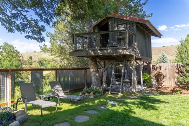 Coolest tree house ever!