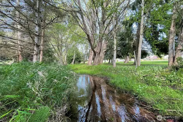 Matriotti Creek on the West Property Line