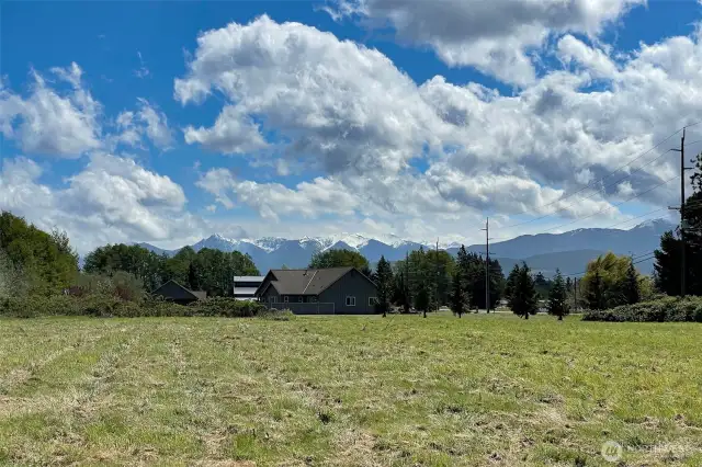 View to the South from the middle of the lot