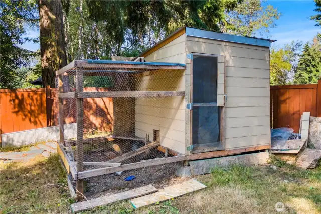 This spacious chicken coop is already set up and ready for your flock. With an attached run and sturdy construction, it provides a safe and functional space for raising chickens right in your backyard.