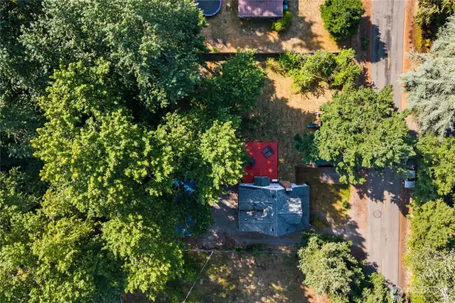 Bird’s-eye view directly above the property, showcasing the red deck, fenced backyard, and mature trees that provide privacy and shade. A clear look at the home’s layout and lot placement within the neighborhood.