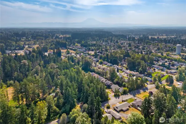 Expansive aerial view of the neighborhood with Mt. Rainier in the background, highlighting the community setting surrounded by lush evergreens and Pacific Northwest scenery.