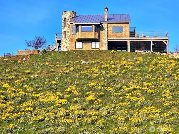 Spring Wildflower super-bloom at premiere 3 bedroom and 3 Bath home in Winthrop.