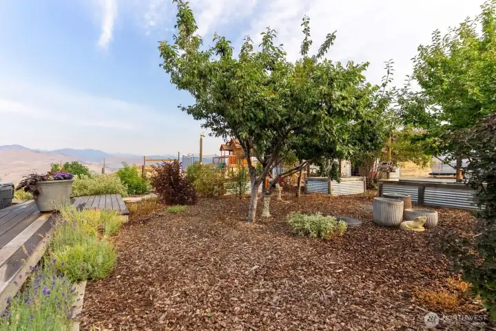 North Garden has raised beds, fruit trees and Northern deck with Spa.