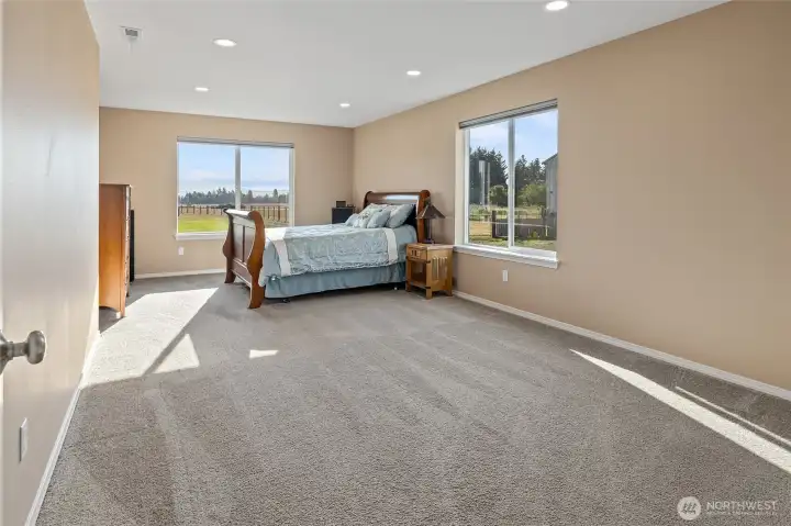 BIG Guest Bedroom
