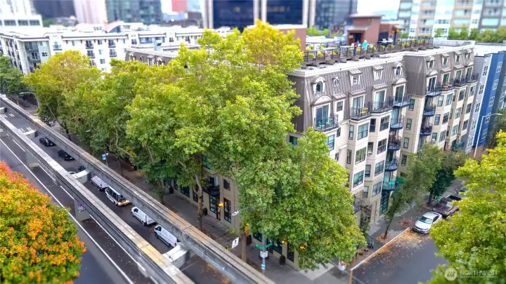 Building View