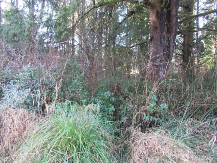 ANOTHER VIEW OF THE PROPERTY WITH A HOME IN THE BACKGROUND!