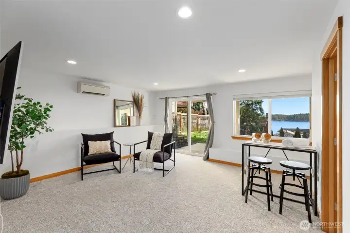 Great lower TV room with access to the back yard