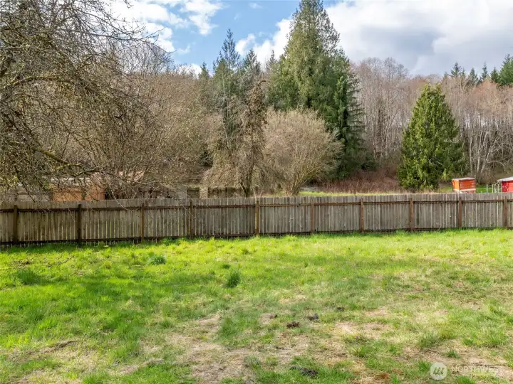 FENCED AREA OF THE YARD
