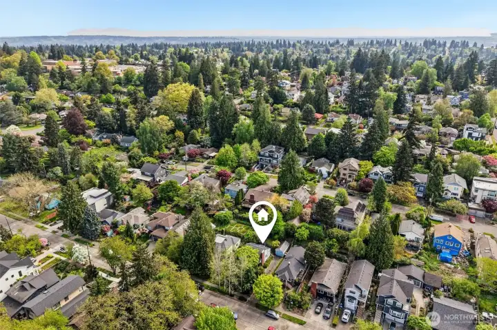 Terrific street within a lovely neighborhood
