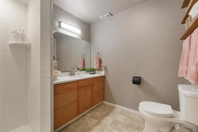 Lower level bathroom with walk-in shower