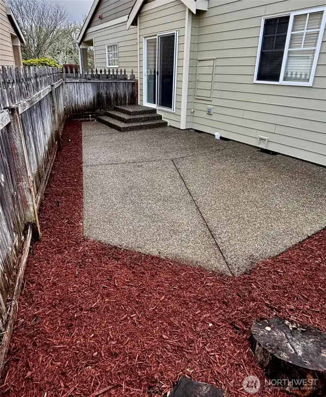 Back Yard and Patio