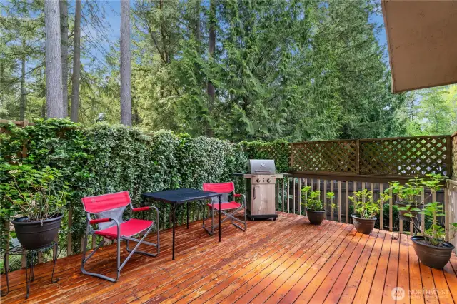 Stunning back deck