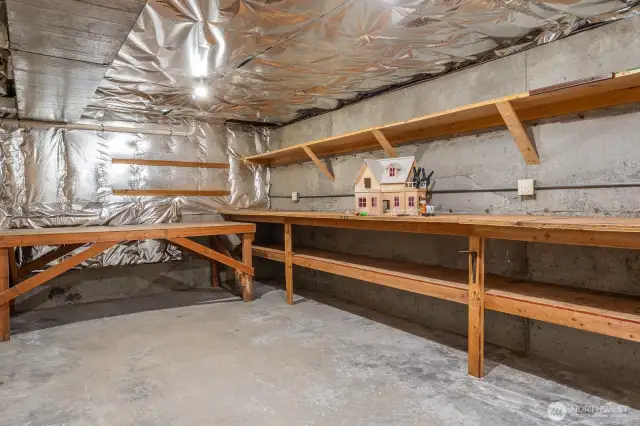 Huge storage and workshop space, accessed from both the extra finished room (bonus) and from lower level entry room.