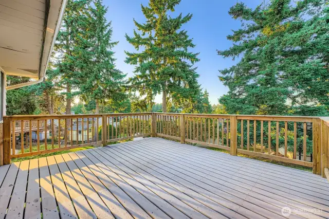 Enjoy the updated entertainment size back deck.