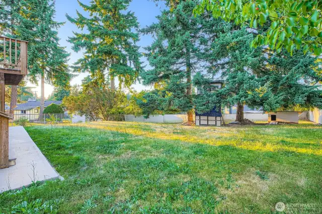 Fantastic fenced back yard with treehouse and shed