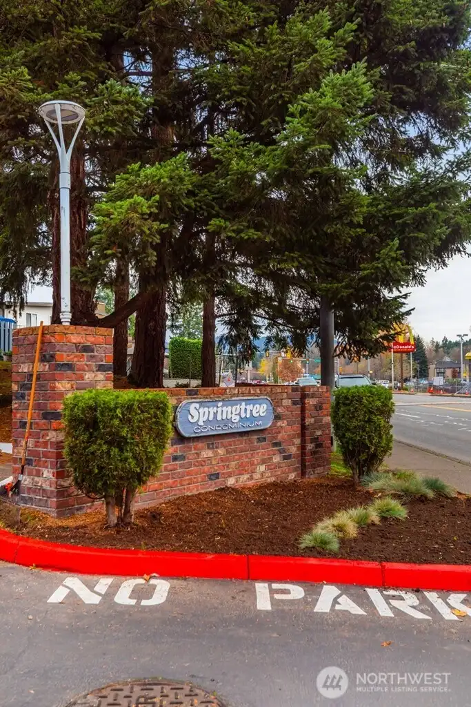 Springtree condominium complex.