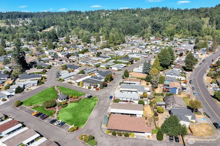 Overall aerial view of the community.
