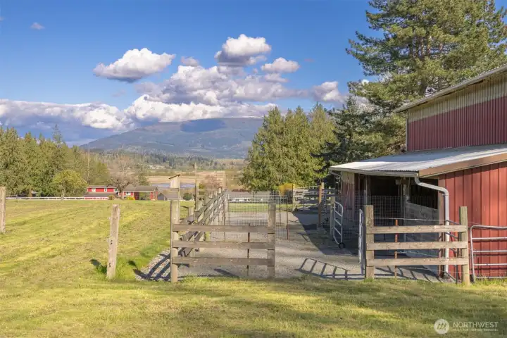 Paddock with access to two pastures. Paddock with access to two pastures.