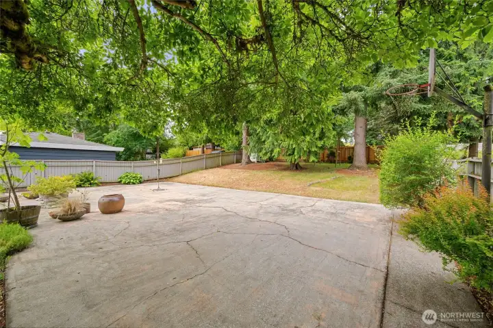 Gently sloped grass area with beautiful shrubs and trees. Gently sloped grass area with beautiful shrubs and trees.