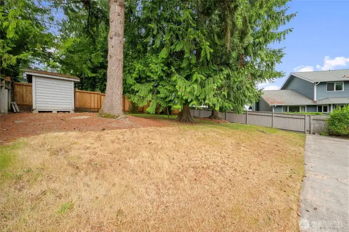 Garden/yard shed in the back... Garden/yard shed in the back...