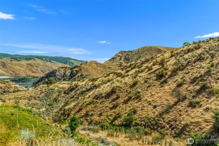 Backyard overlooks a beautiful hillside.