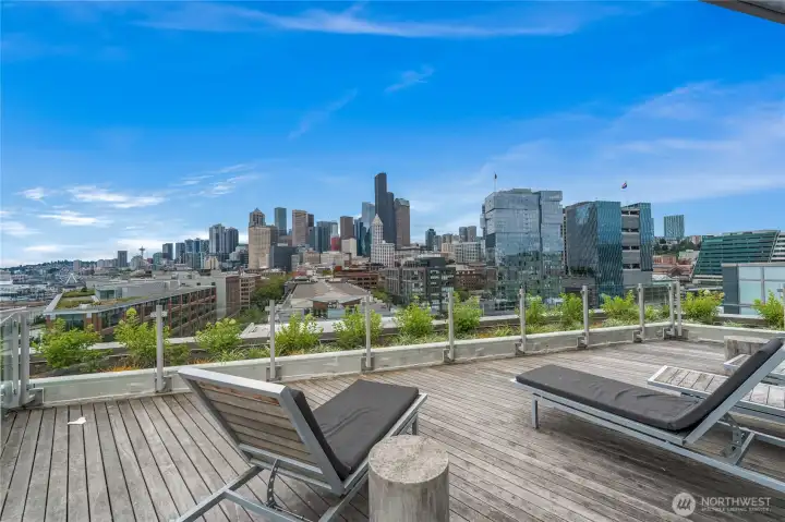 Rooftop area facing the city