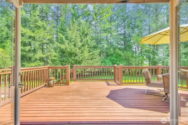 back porch and private back yard