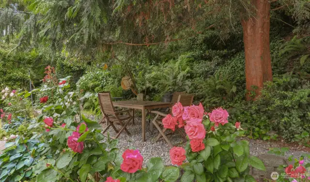 Garden area