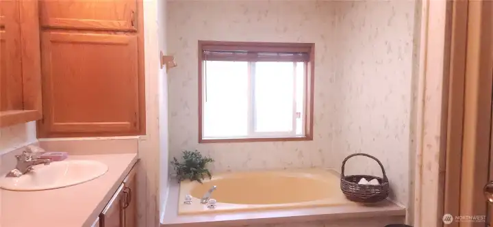 Double sinks, soaker tub and stand up shower