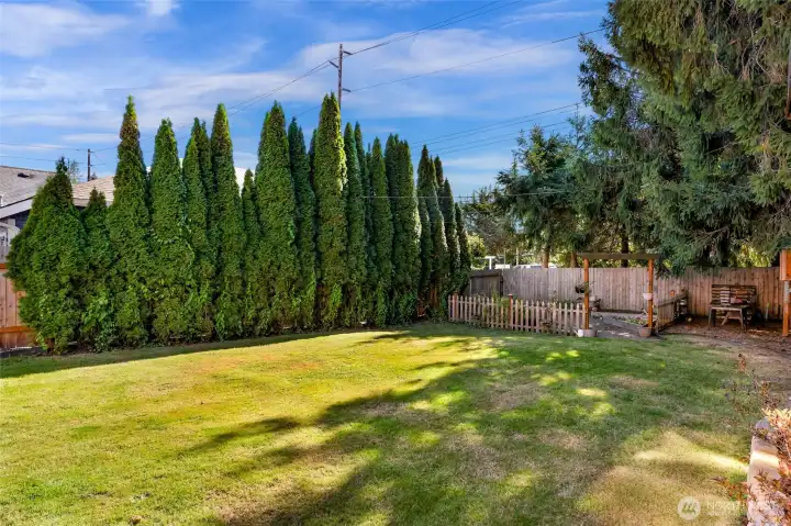Back yard looking out toward Northshore Rd and Lake Whatcom.