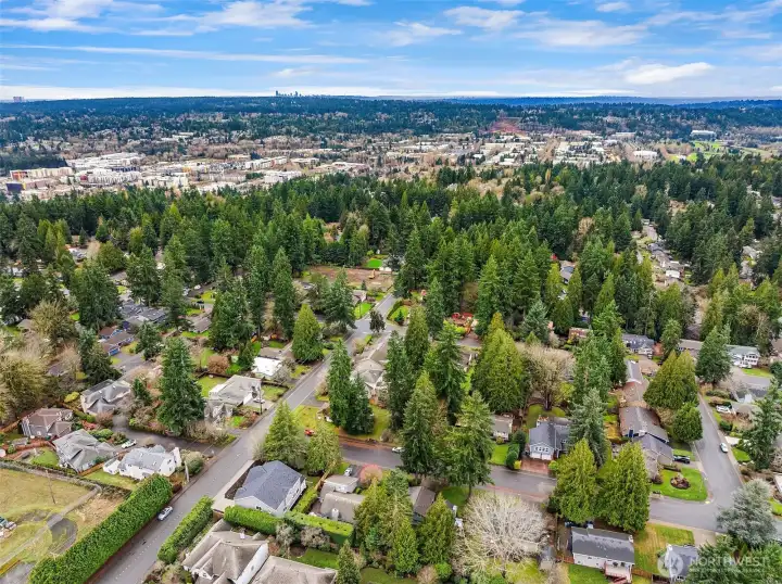 Looking West toward downtown Redmond