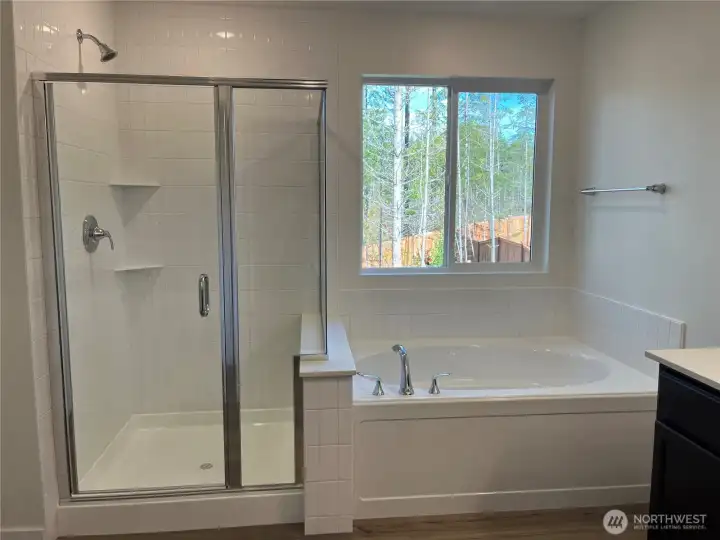 Primary bath and shower