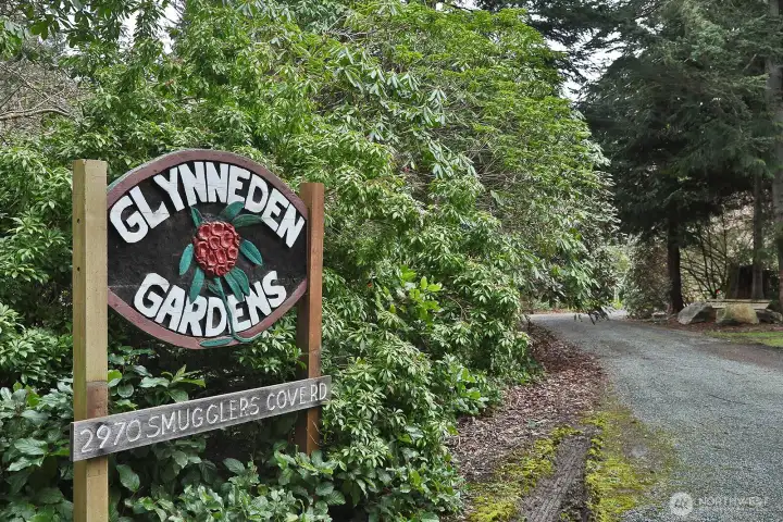 Welcome to Glynneden Gardens once a Rhododendron Nursey now a quiet sanctuary tucked under the evergreen trees.