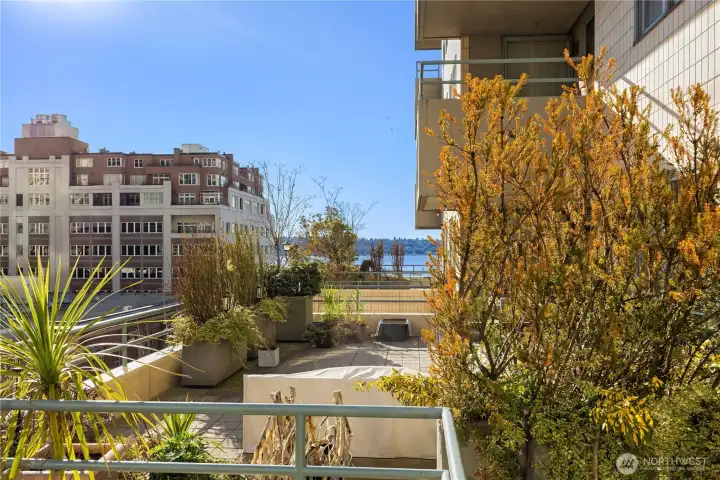 view toward the water fron unit balcony