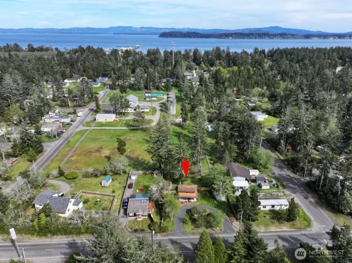 Located 1/2 way between Willapa Bay and the Pacific Ocean.