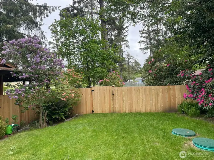 This fence is on north side of front yard. Nicley done gate here. This fence is on north side of front yard. Nicley done gate here.