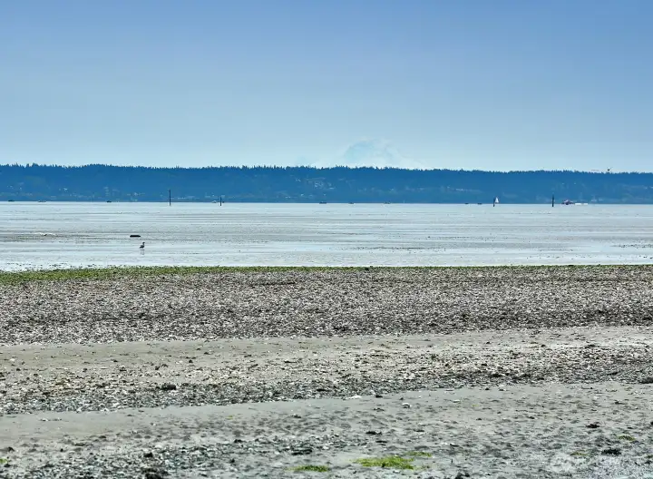 your beach