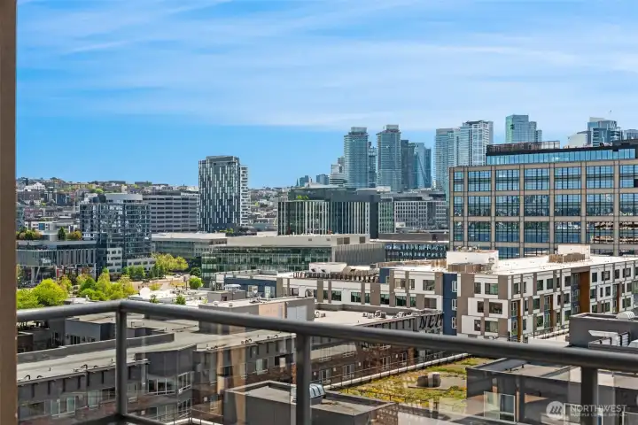 This city view is special!