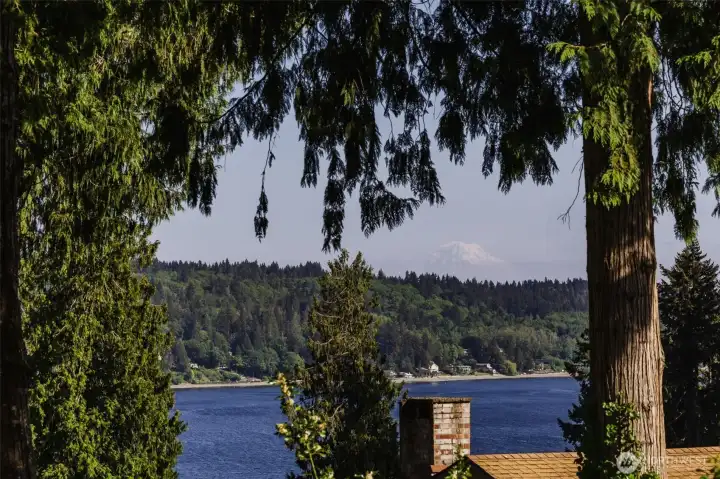 Views of Mt. Rainier from the Deck