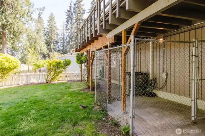 Dog Run