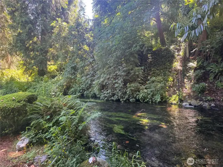 year round creek year round creek