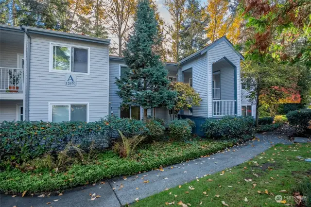 Beautiful setting, ideal and highly sought after, Bellevue location.