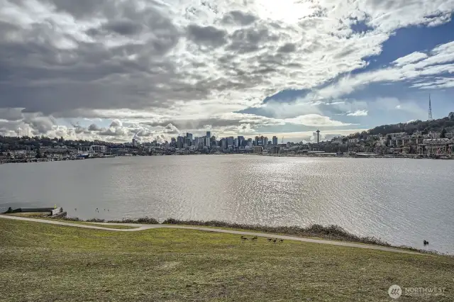 View from Gas Works Park