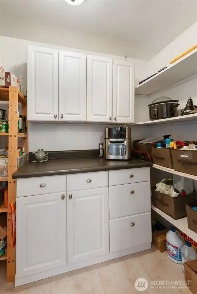 The walk in pantry has lots of room for things you want to hide.