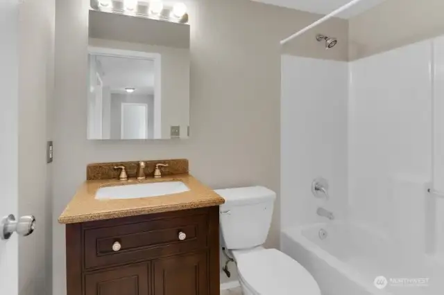 Lower level full bath