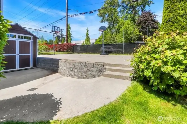 Sport Court and Concord Grapes