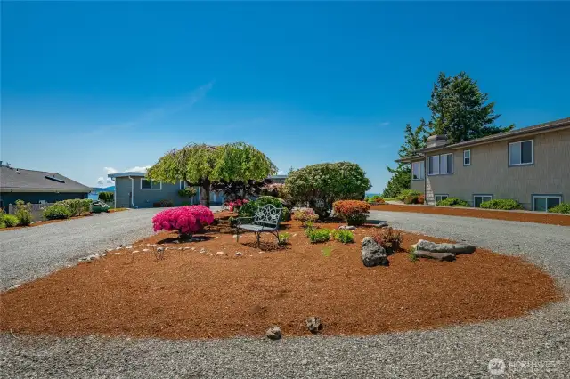 Circular driveway with lots of room for guests or room for expansion